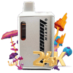 24k - Mushroom Blend