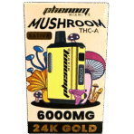 24k - Mushroom Blend - Imagen 2