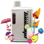 Pink Lemonade - Mushroom Blend