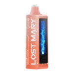Roquet popsicle - Normal edition lost mary