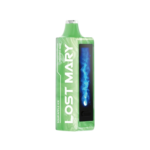 Sour Apple ice - normal edition lost mary